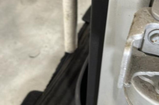 Porte arriere gauche PEUGEOT 207