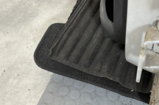 Porte arriere gauche PEUGEOT 207