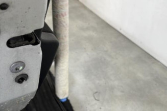 Porte arriere gauche PEUGEOT 207