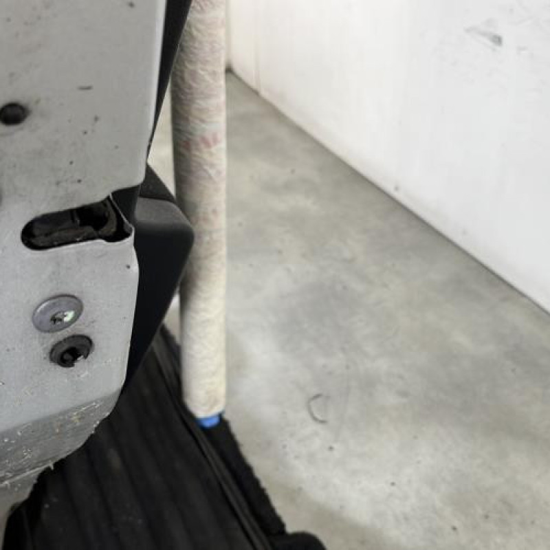 Porte arriere gauche PEUGEOT 207 Photo n°6