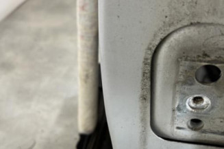 Porte avant gauche PEUGEOT 207