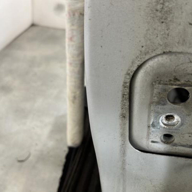 Porte avant gauche PEUGEOT 207 Photo n°2