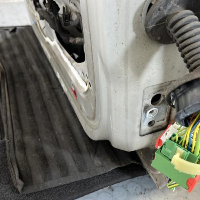 Porte avant gauche PEUGEOT 207 Photo n°3