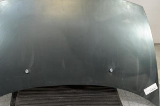 Capot CITROEN C3 1 Photo n°1