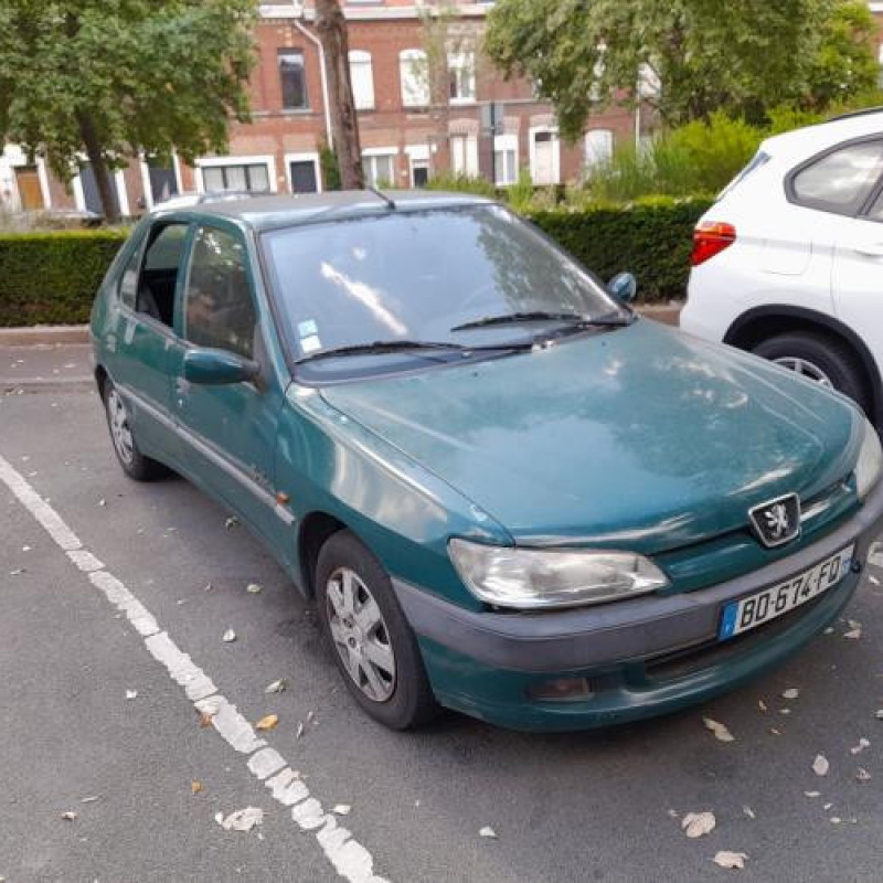 Porte avant gauche PEUGEOT 306 Photo n°7