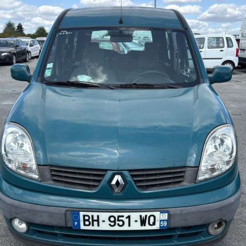 Porte avant gauche RENAULT KANGOO 1 Photo n°14