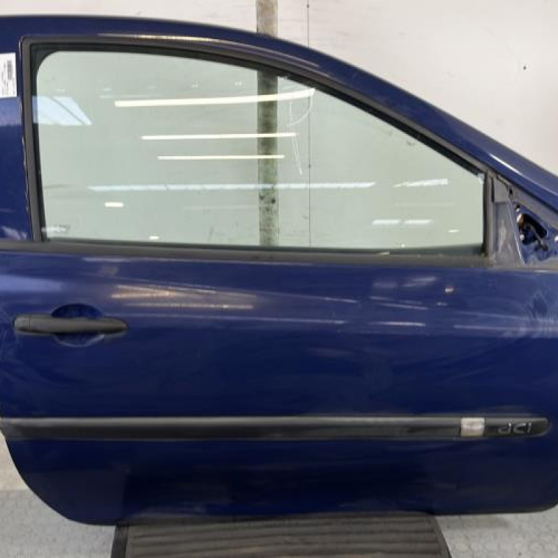 Porte avant droit RENAULT CLIO 3 Photo n°1