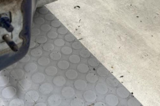 Porte avant droit RENAULT CLIO 3