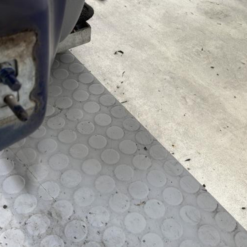 Porte avant droit RENAULT CLIO 3 Photo n°5