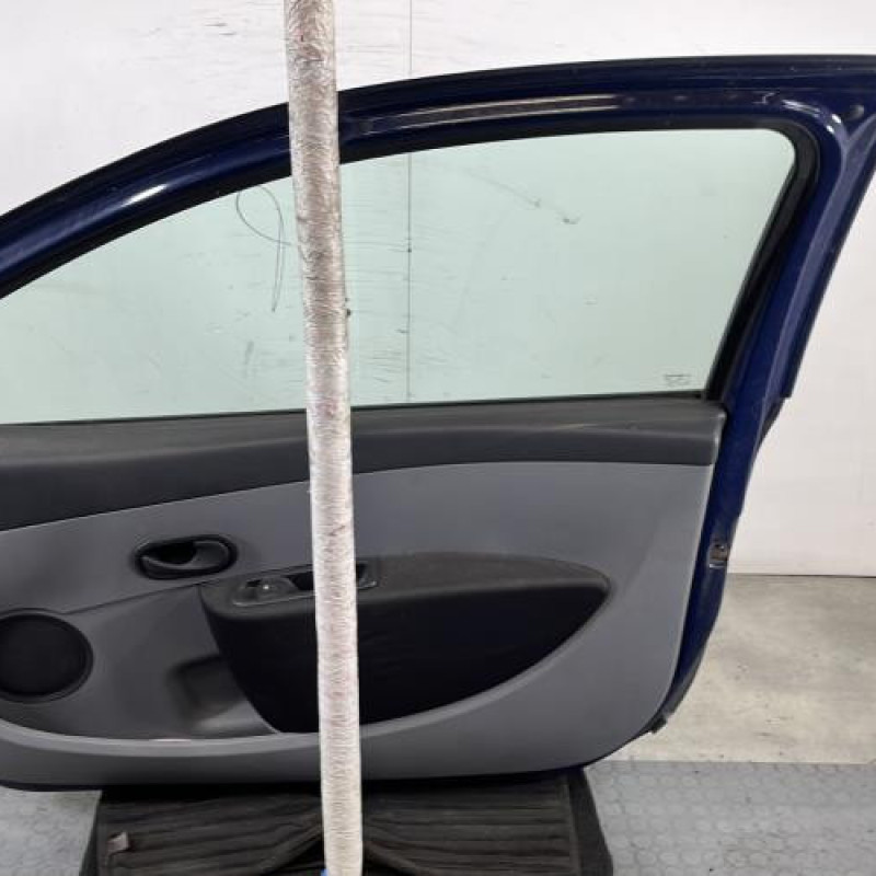 Porte avant droit RENAULT CLIO 3 Photo n°6