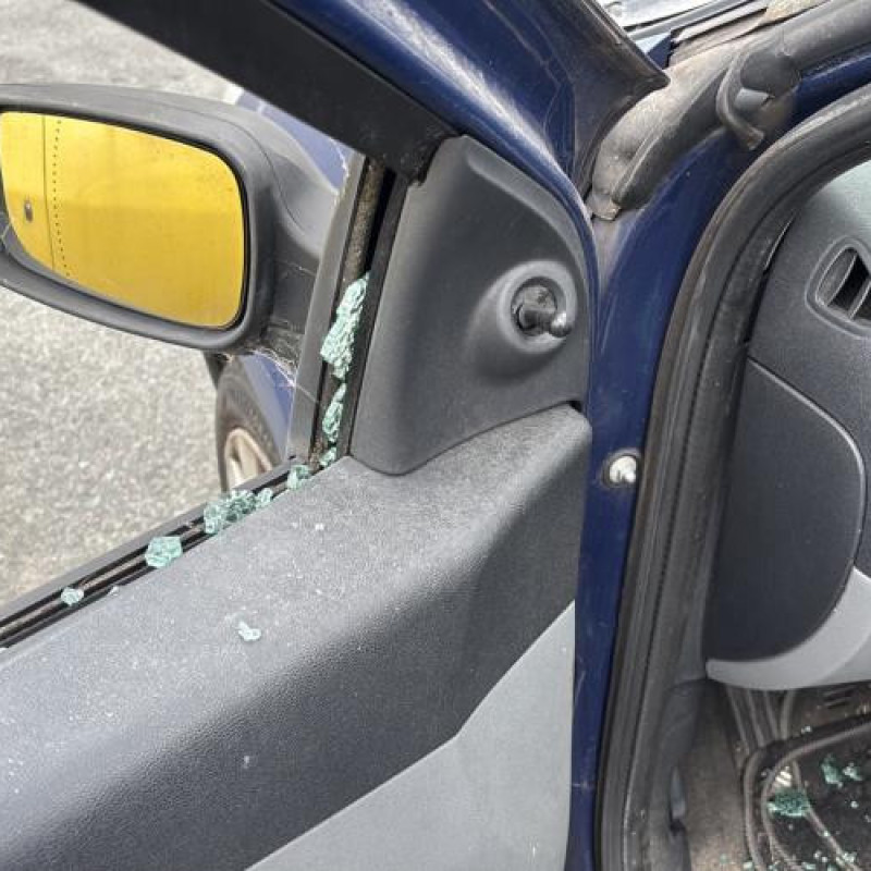 Porte avant droit RENAULT CLIO 3 Photo n°16