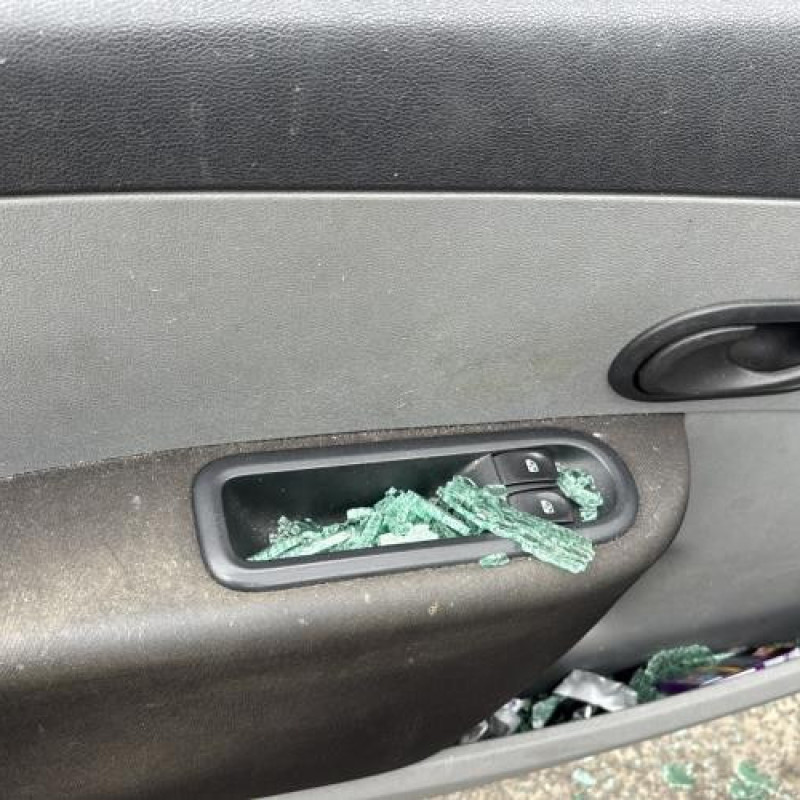 Porte avant droit RENAULT CLIO 3 Photo n°17