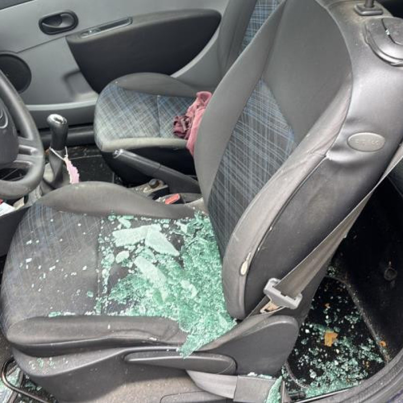 Porte avant droit RENAULT CLIO 3 Photo n°18