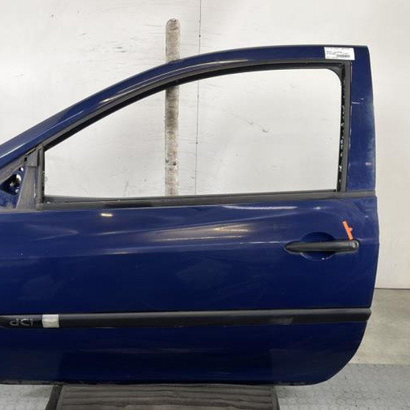 Porte avant gauche RENAULT CLIO 3 Photo n°1