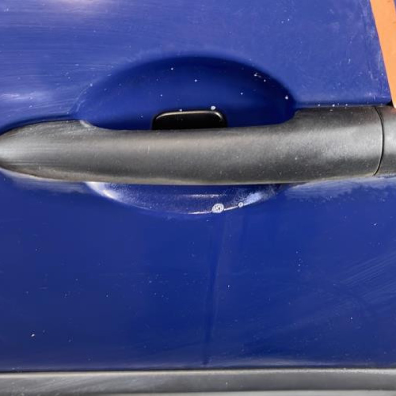 Porte avant gauche RENAULT CLIO 3 Photo n°2