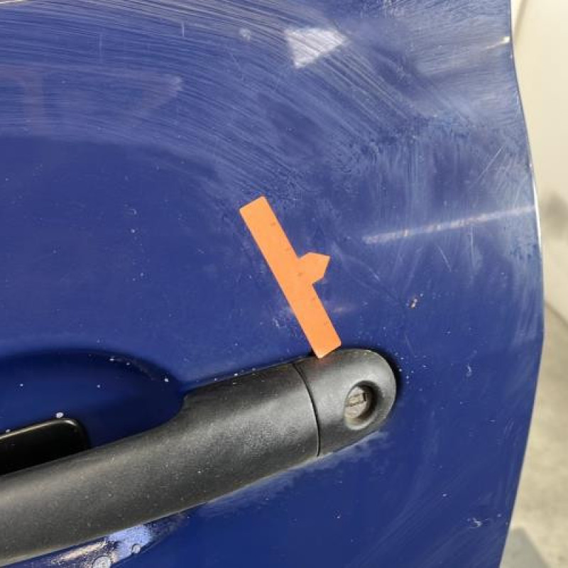 Porte avant gauche RENAULT CLIO 3 Photo n°3