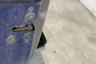 Porte avant gauche RENAULT CLIO 3