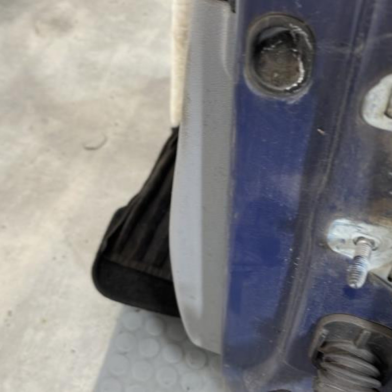 Porte avant gauche RENAULT CLIO 3 Photo n°5