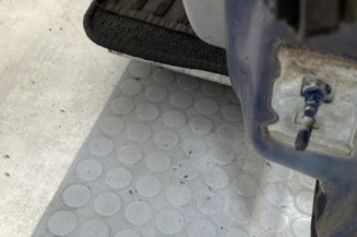 Porte avant gauche RENAULT CLIO 3