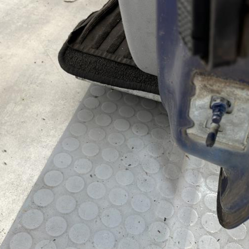 Porte avant gauche RENAULT CLIO 3 Photo n°6