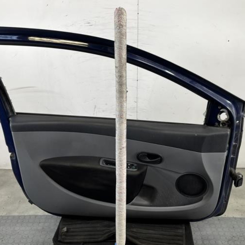 Porte avant gauche RENAULT CLIO 3 Photo n°7