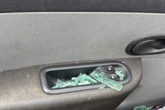 Porte avant gauche RENAULT CLIO 3