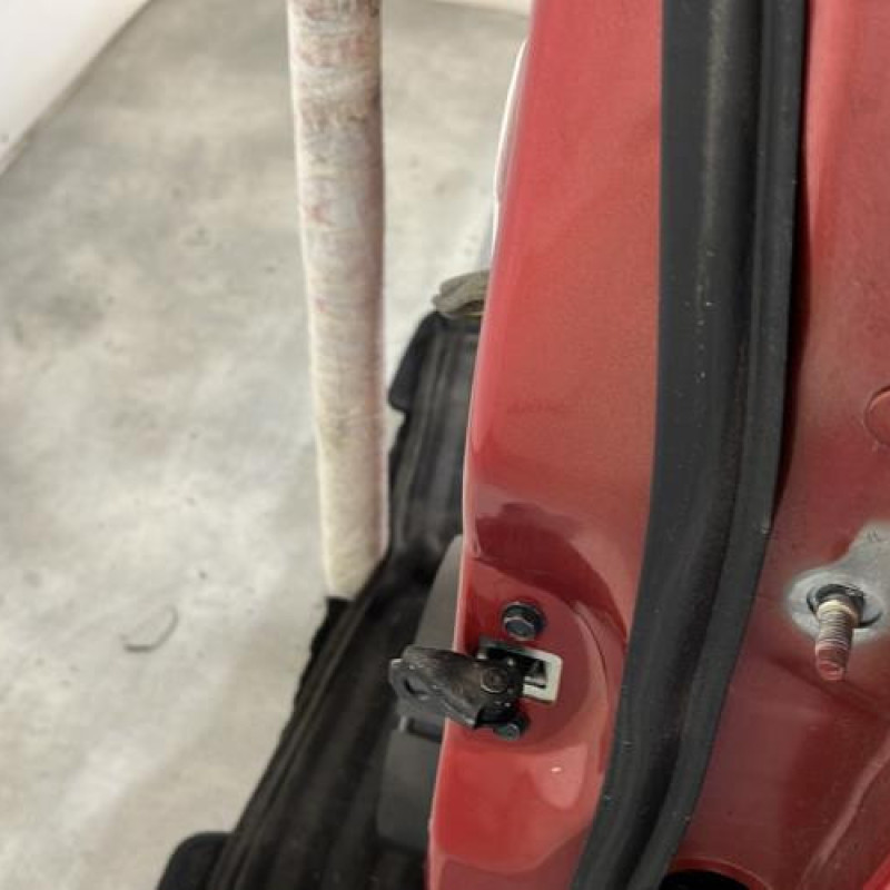 Porte arriere gauche RENAULT KADJAR Photo n°2