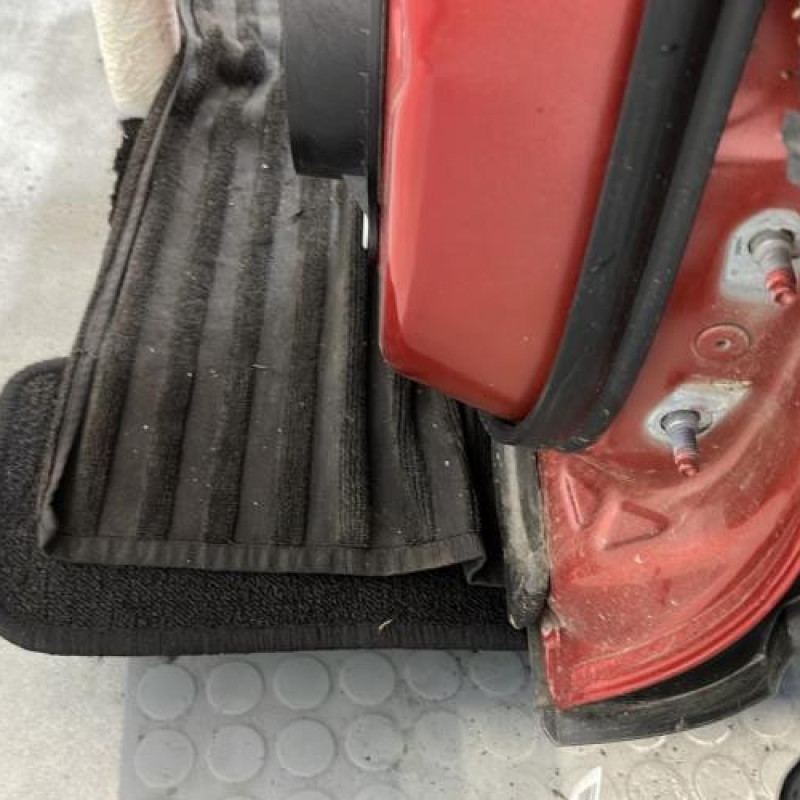 Porte arriere gauche RENAULT KADJAR Photo n°3