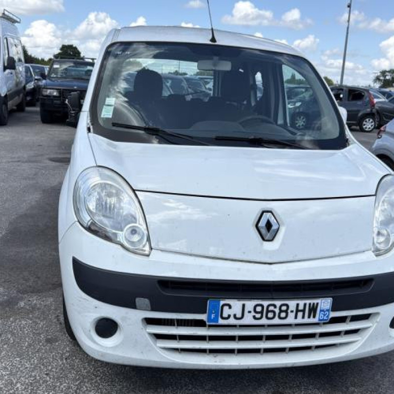 Vitre arriere droit RENAULT KANGOO 2 Photo n°12