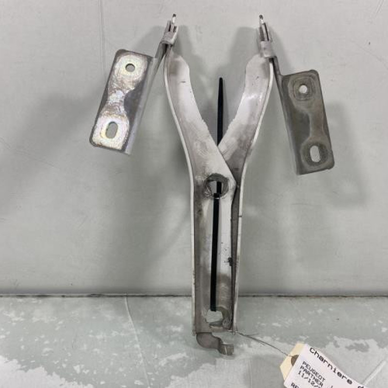 Charniere de capot PEUGEOT PARTNER 2 Photo n°1