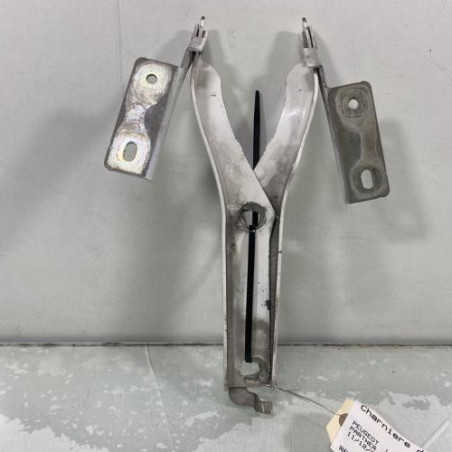 Charniere de capot PEUGEOT PARTNER 2 Photo n°1