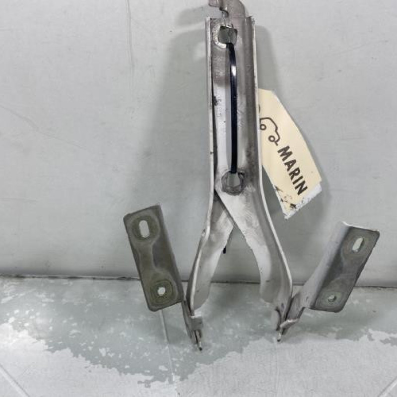 Charniere de capot PEUGEOT PARTNER 2 Photo n°2