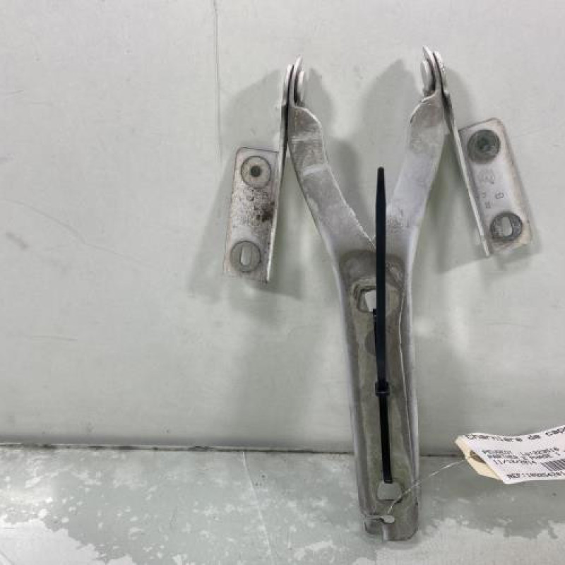 Charniere de capot PEUGEOT PARTNER 2 Photo n°3