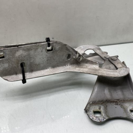 Charniere de capot RENAULT TWINGO 2 Photo n°1