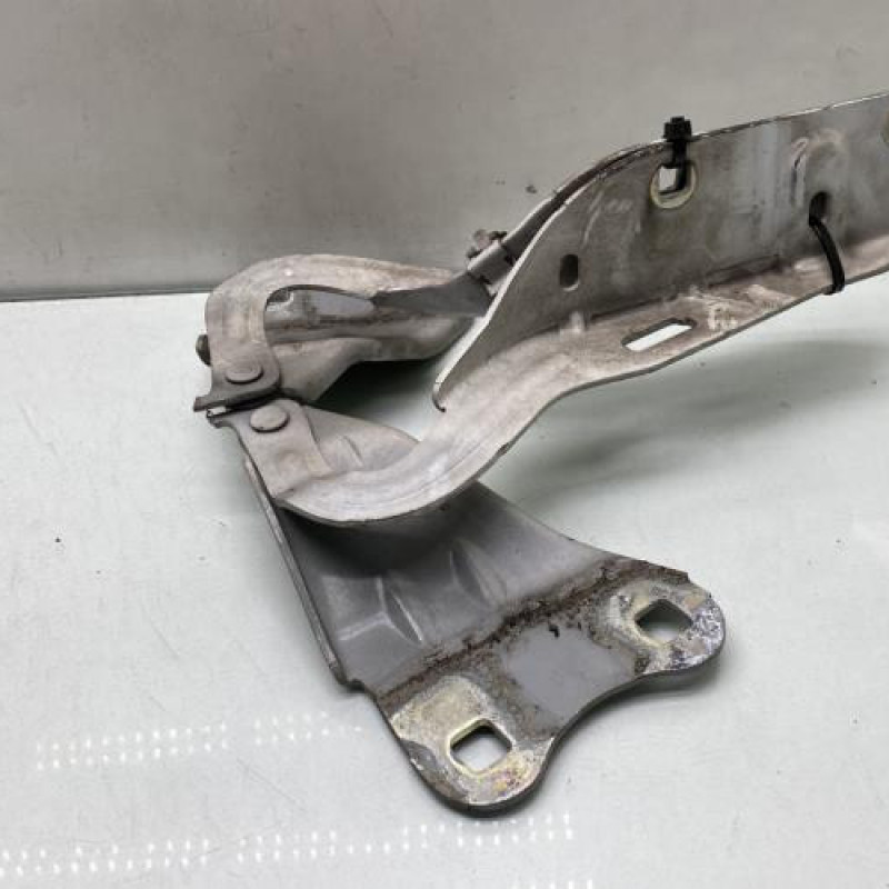 Charniere de capot RENAULT TWINGO 2 Photo n°2