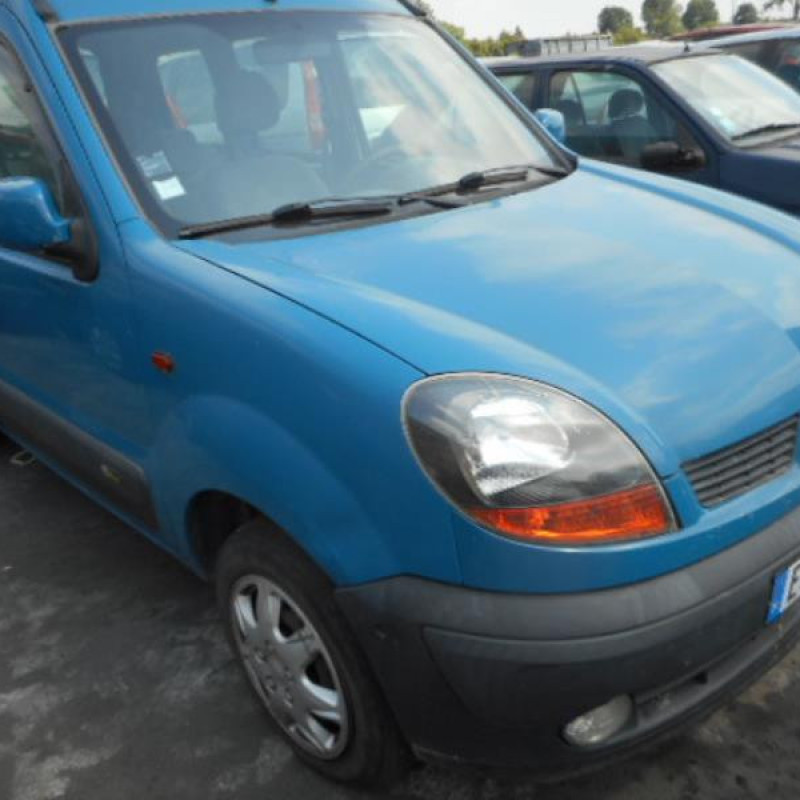 Porte laterale droit RENAULT KANGOO 1 Photo n°3