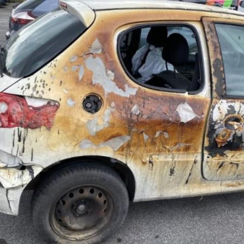 Pompe de direction PEUGEOT 206+ Photo n°4