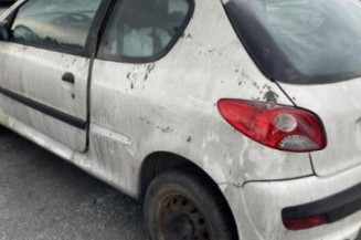 Pompe de direction PEUGEOT 206+