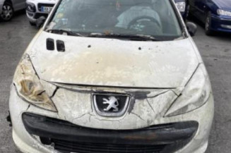 Pompe de direction PEUGEOT 206+