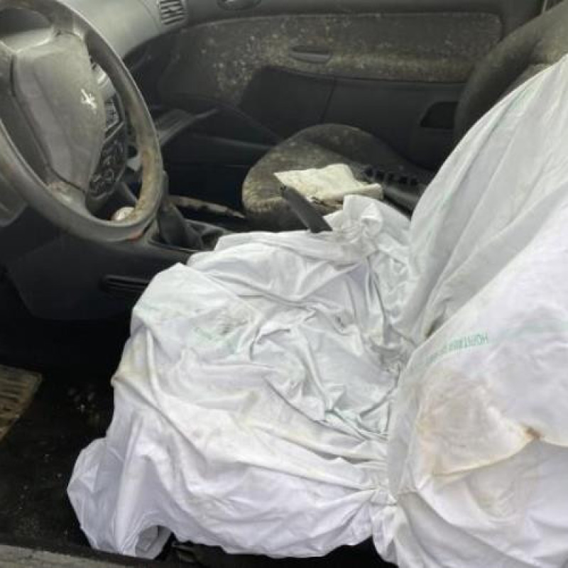 Pompe de direction PEUGEOT 206+ Photo n°17