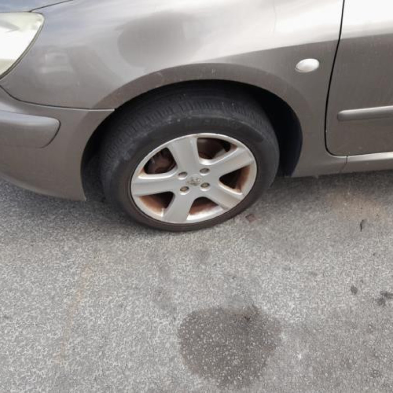 Compteur PEUGEOT 307 Photo n°20