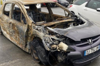 Pompe de direction PEUGEOT 307