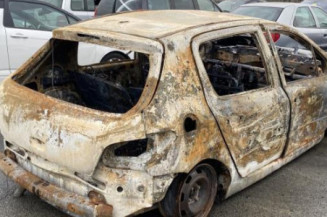 Pompe de direction PEUGEOT 307