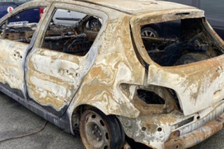 Pompe de direction PEUGEOT 307