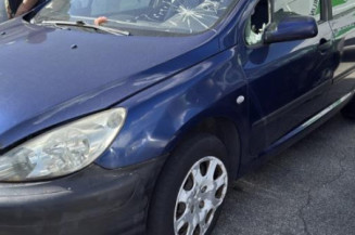 Catalyseur (echappement) PEUGEOT 307 Photo n°1