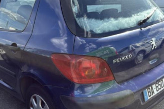 Catalyseur (echappement) PEUGEOT 307