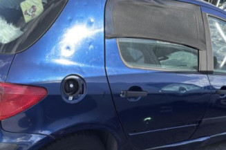 Catalyseur (echappement) PEUGEOT 307