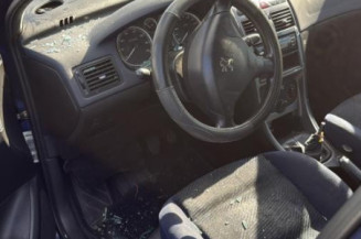 Catalyseur (echappement) PEUGEOT 307