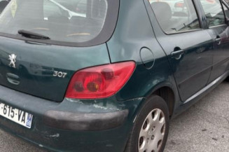 Catalyseur (echappement) PEUGEOT 307