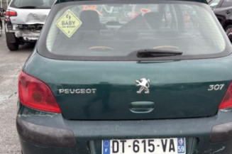 Catalyseur (echappement) PEUGEOT 307